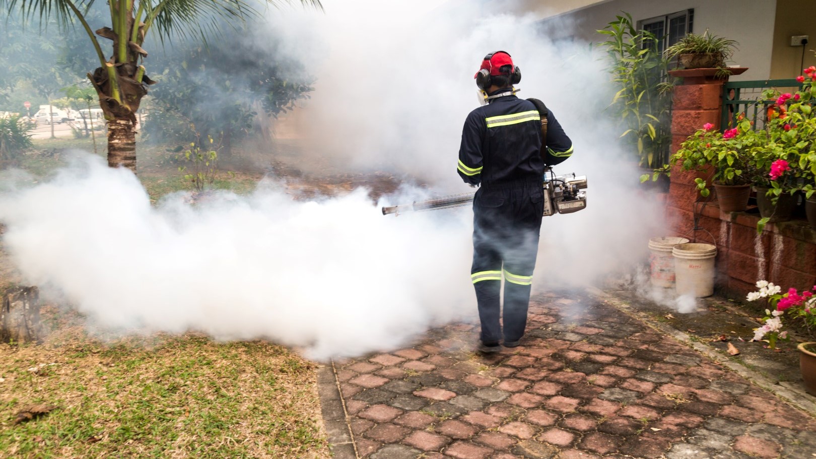 Worker fogging residential area with insecticides to kill aedes mosquito, carrier of dengue virus